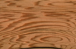 western red cedar
